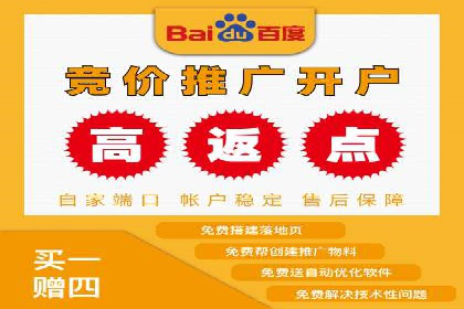 百度推广公司案例分享：如何通过百度推广实现持续增长